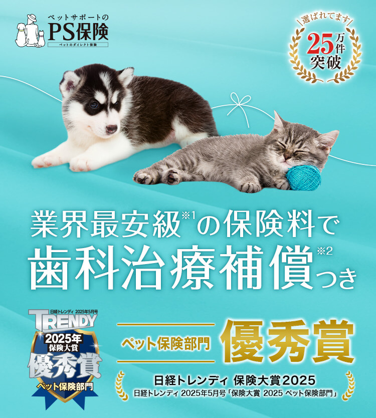 ペットサポートのPS保険。業界最安級の保険料で歯科治療補償つき